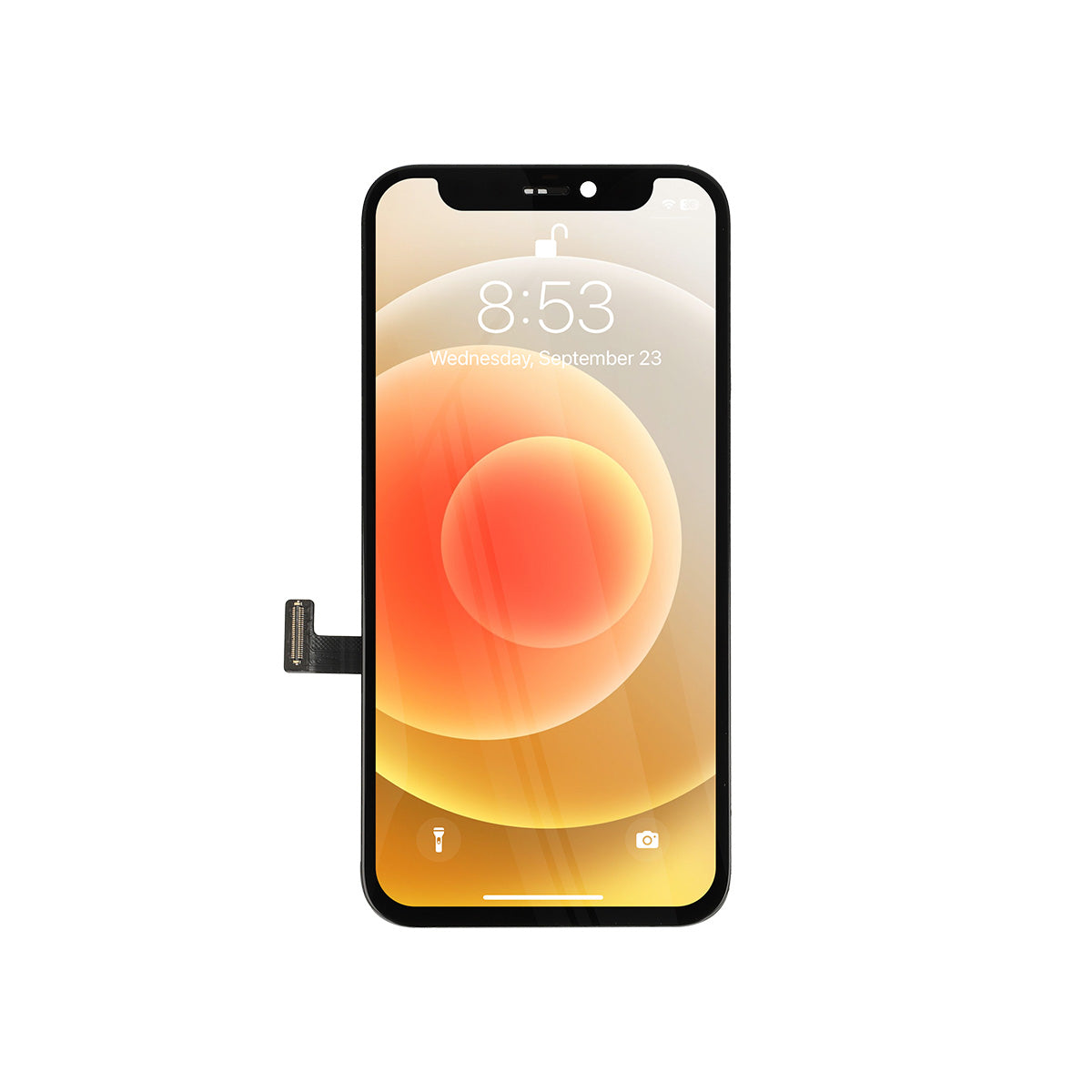 Smartphone display with home button on a white background