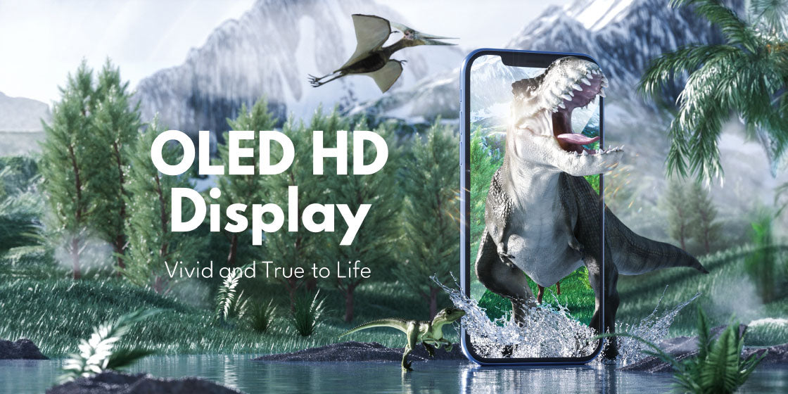 First OLED Display